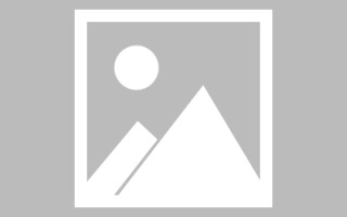 舞钢网页设计英文默认字体（网页设置英文转换中文）